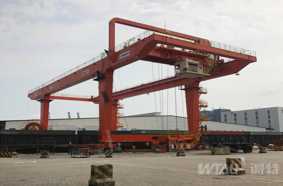 不負春光，微特人在行動