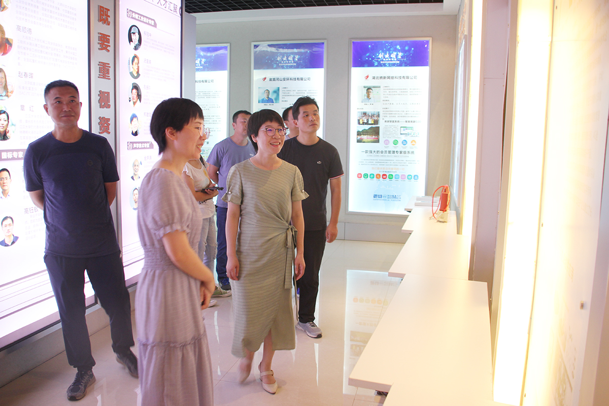 王甫洲水力發電公司領導蒞臨微特考察交流