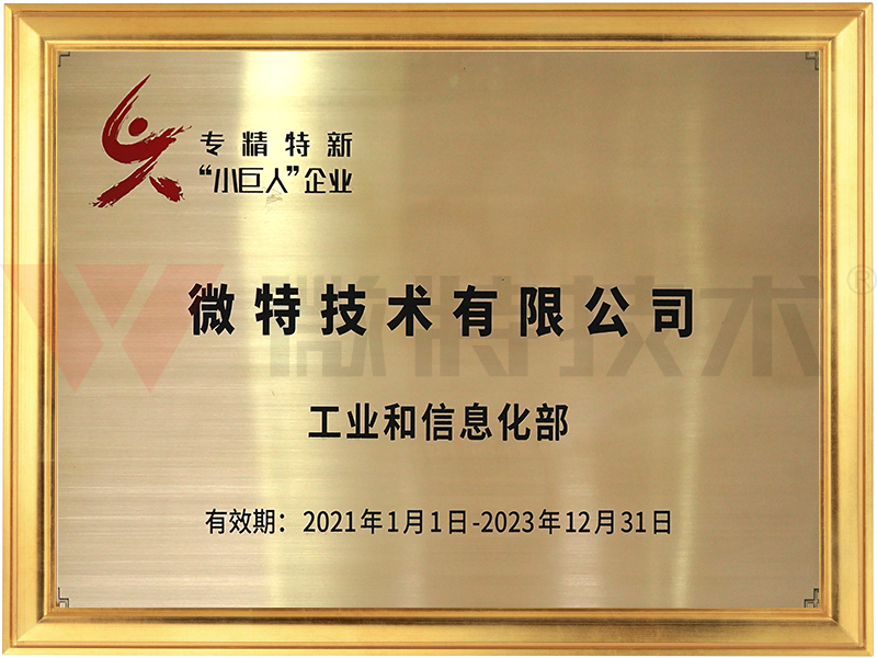 專精特新小巨人企業&mdash;微特